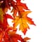Glitzhome® 6ft. Fall Lighted Maple Leaves Garland with Timer